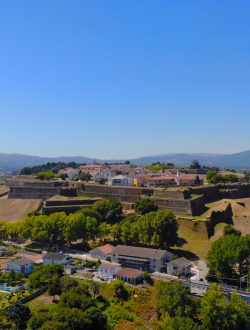 DJI_0263