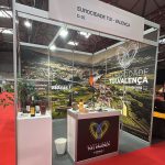 A Eurocidade Tui.Valença em Destaque  na Feira de Turismo da Galiza