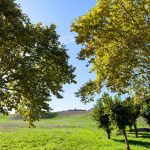Valença Assinala o Dia Mundial do Ambiente com Novos Compromissos com a Sustentabilidade