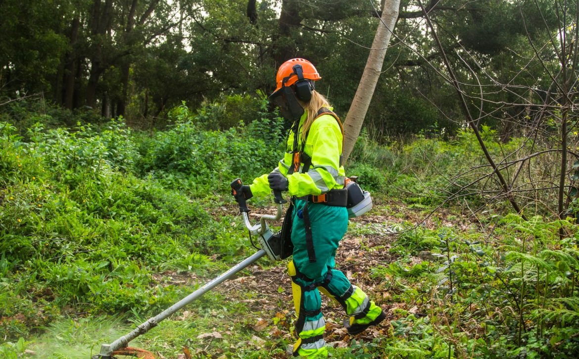 Forestry worker