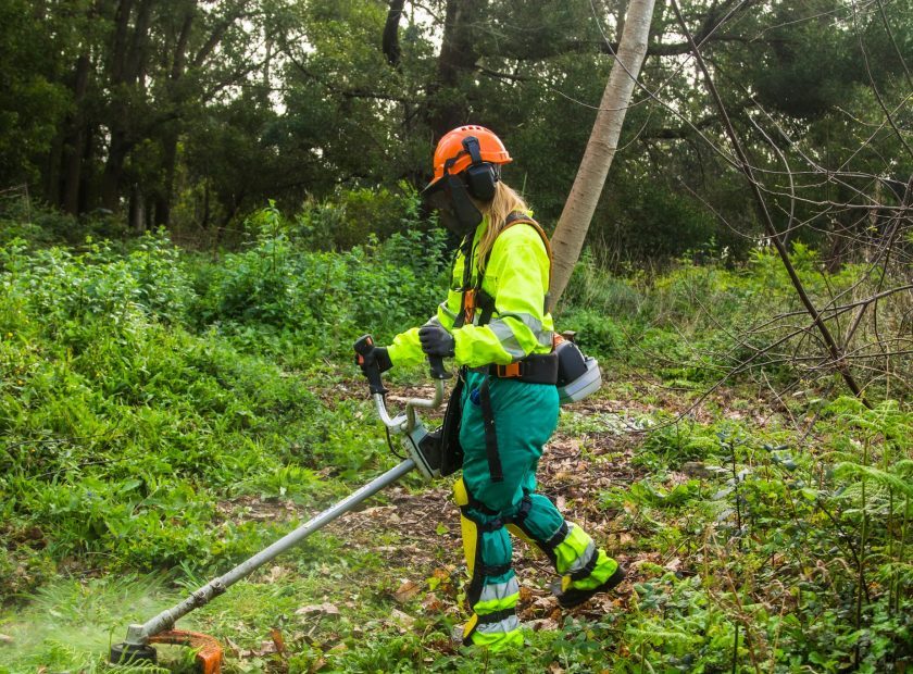 Forestry worker