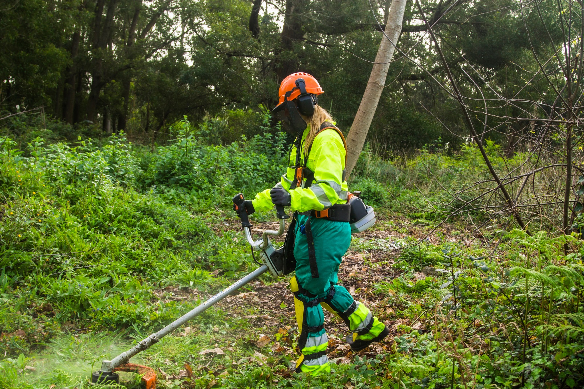 Forestry worker