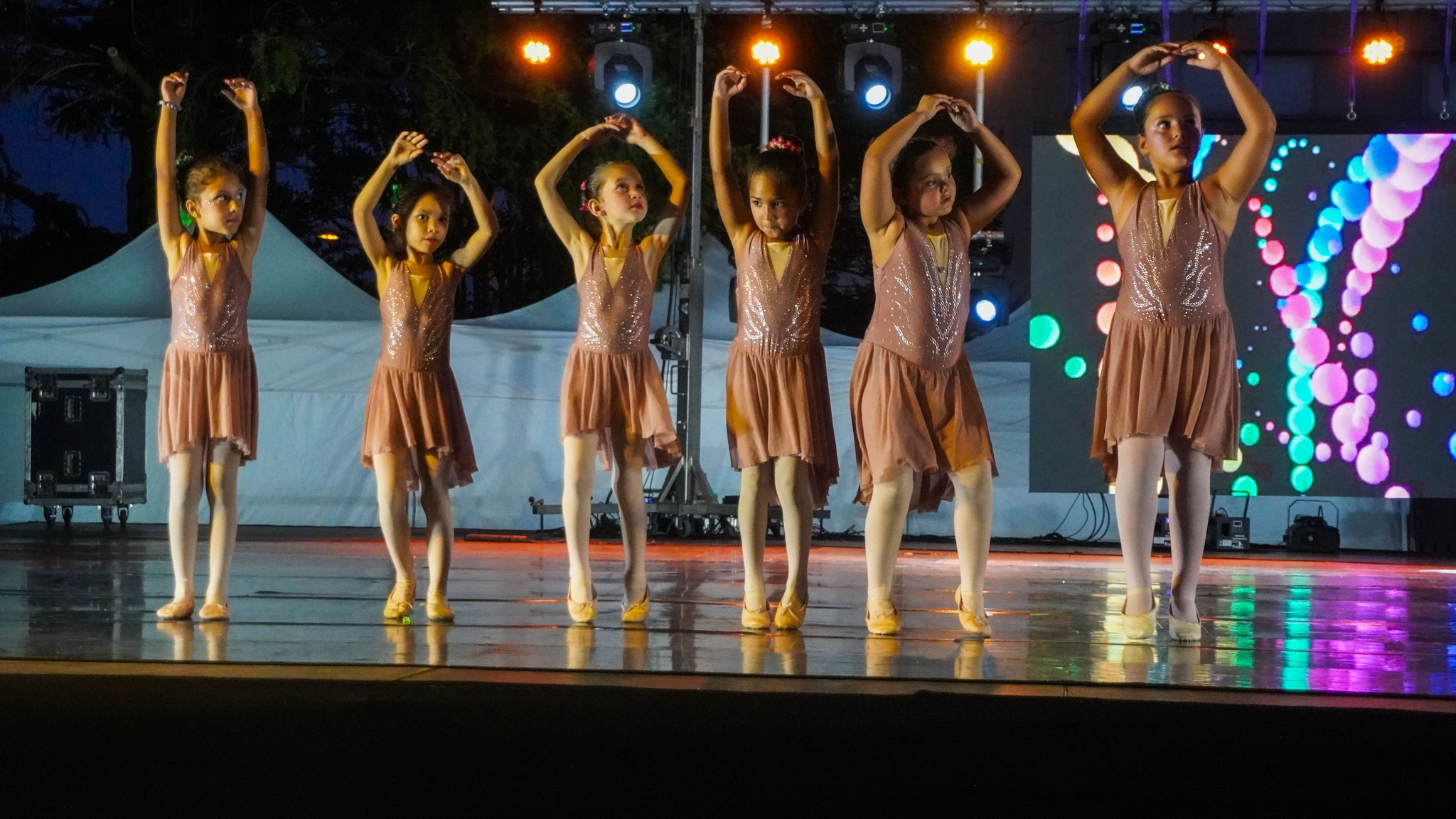 524351751_1264623179026494_4254106083111770569_n