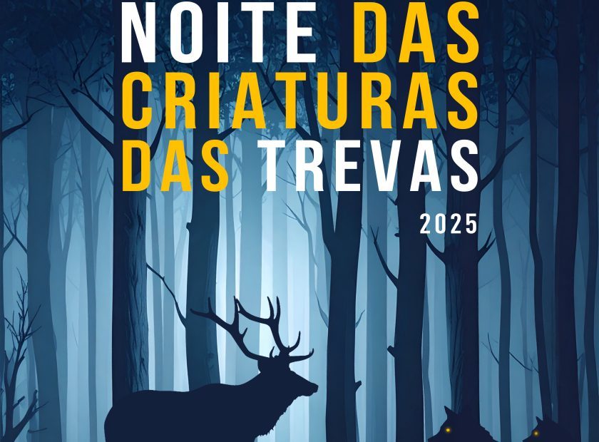 NOCT2025_poster_valenca