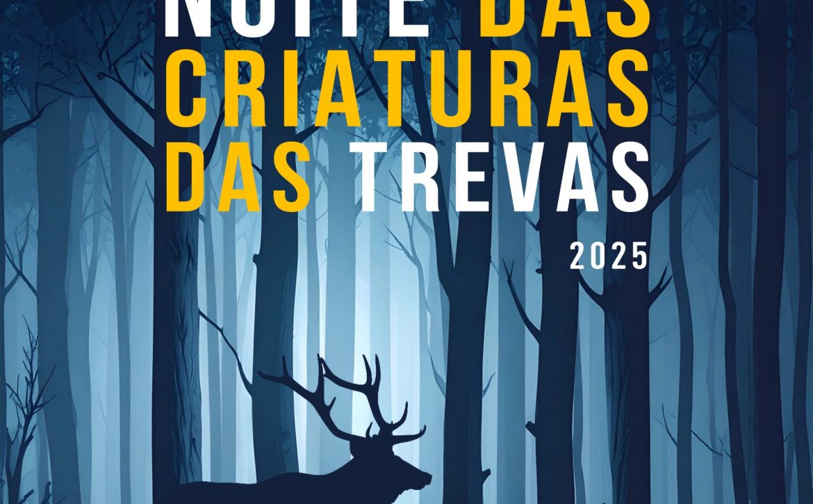 NOCT2025_poster_valenca