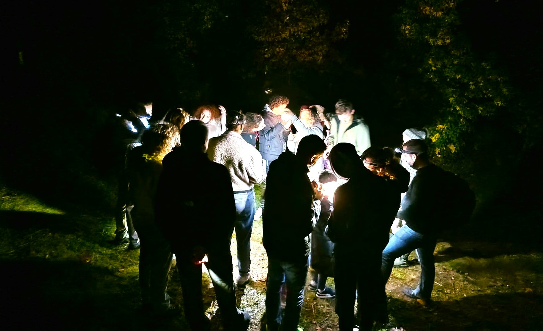 574550616_1355037036651774_3072613839794020148_n