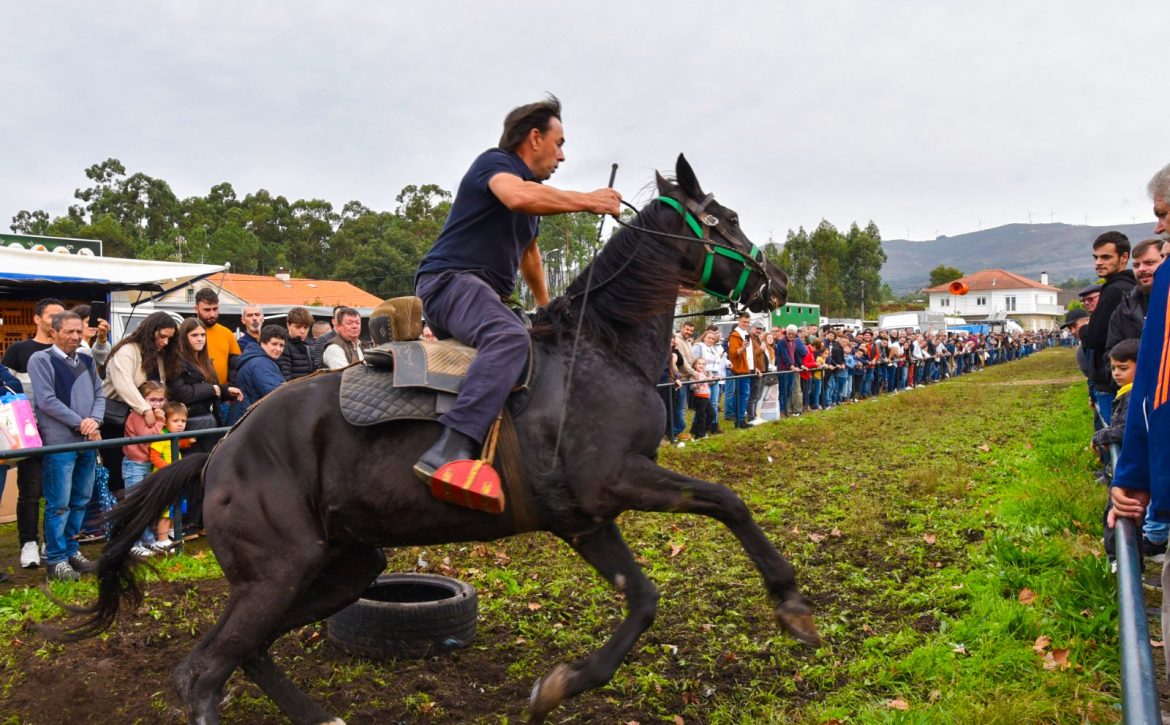 577057816_1354357726719705_4769741771003304451_n