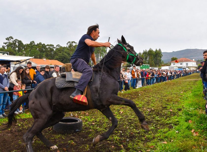 577057816_1354357726719705_4769741771003304451_n