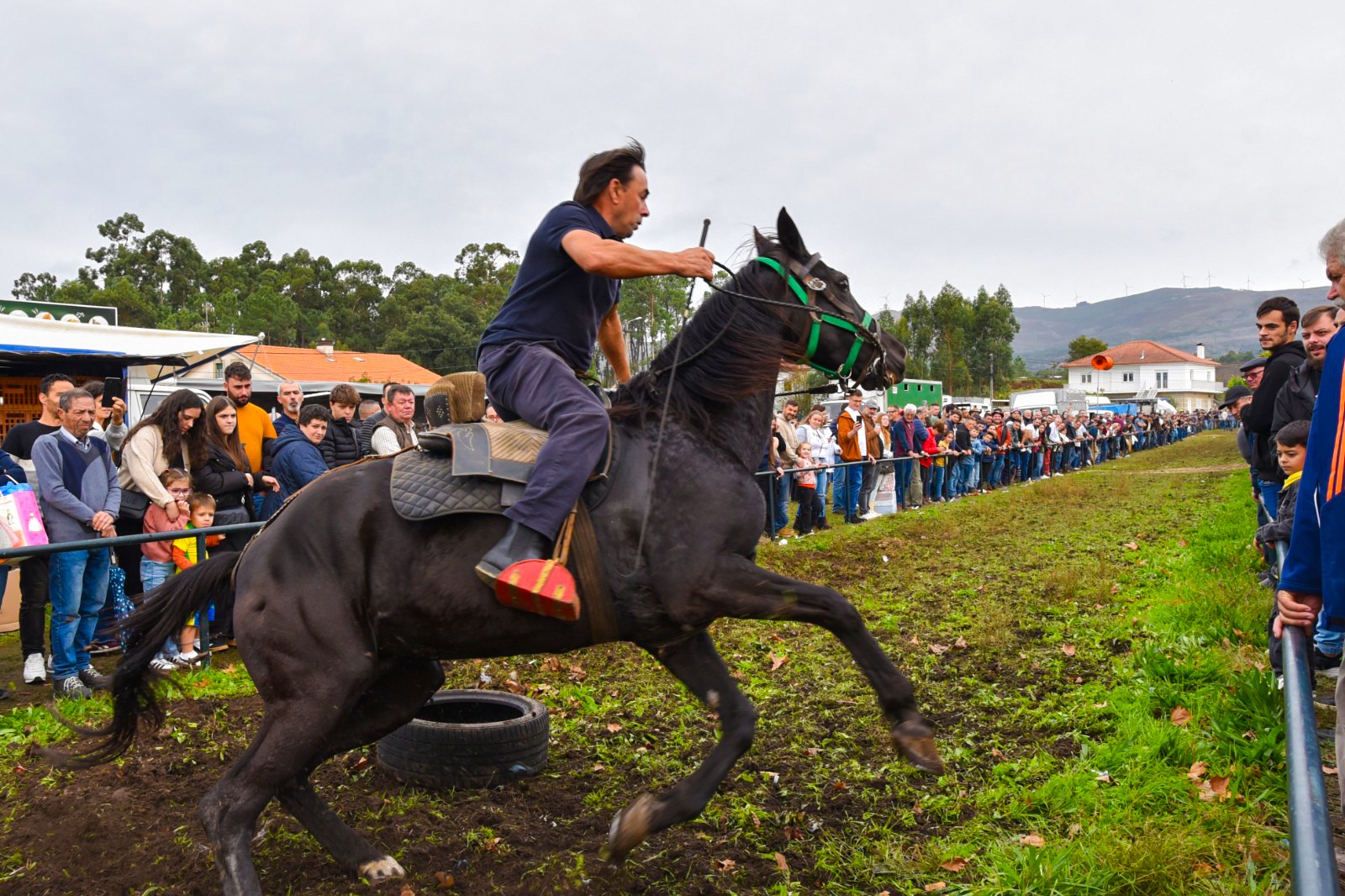 577057816_1354357726719705_4769741771003304451_n