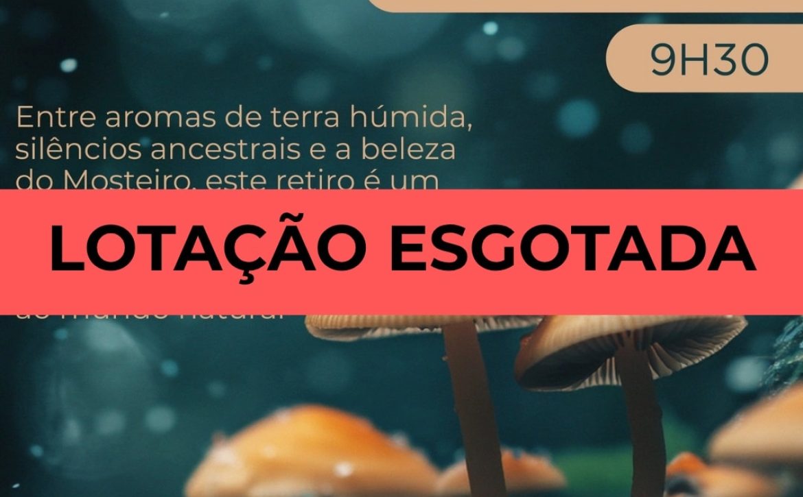 595506373_1382075877281223_283631529268207638_n