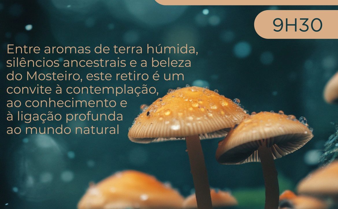 RetiroCogumelosValença