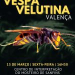 Valença Sensibiliza Apicultores para o Combate à Vespa Velutina
